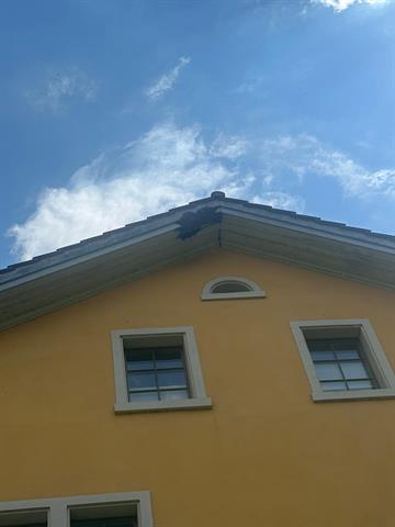 Bienen, Spinnereiweg, Kemptthal